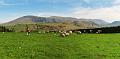 Rondje Lake District op 3-5-2012 (198)